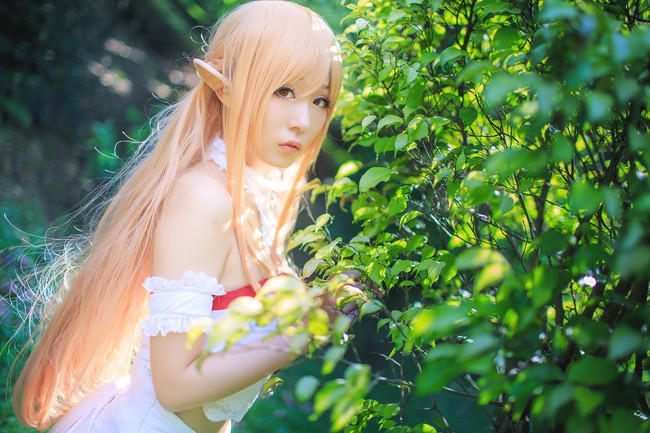 ky.com：农业部支持海南热带农业走出去(图1)