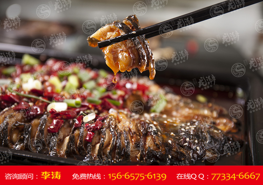 kycom-海马多少钱一斤？海马为什么这么贵？(图3)