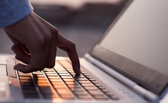 kycom-海马多少钱一斤？海马为什么这么贵？(图4)