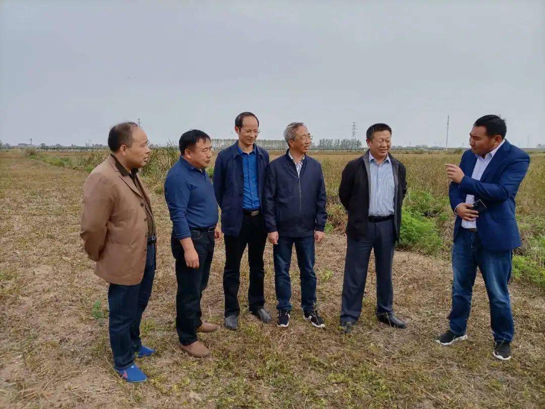 
泰州市农业农村局对水稻绿色高质高效建立事情开展交织互查【kycom】(图2)