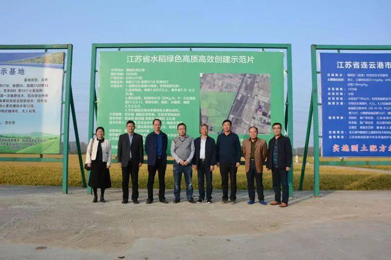 
泰州市农业农村局对水稻绿色高质高效建立事情开展交织互查【kycom】(图5)