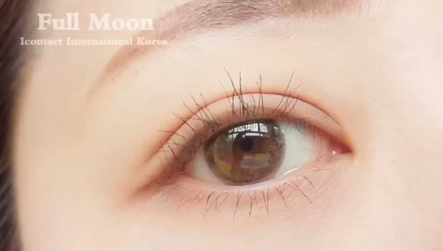 kycom|海参价格现在多少钱一斤？海参的功效与作用吃法(图2)