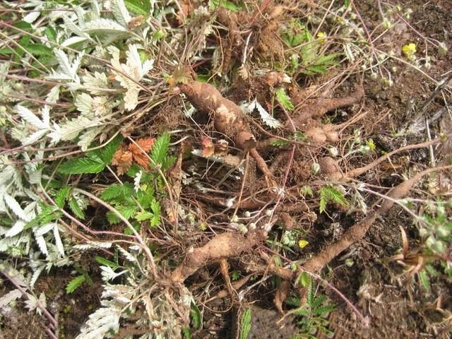 “市长热线”要服务民生一线_时事政治_中公教育网‘ky.com’(图2)