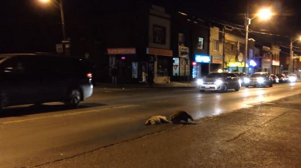 携手而行  同舟共济_时事政治_中公教育网|ky.com(图1)