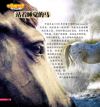 LOL11月13日维护到中午12点 版本一个月两次更新【ky.com】(图1) LOL11月13日维护到中午12点 版本一个月两次更新【ky.com】(图1)