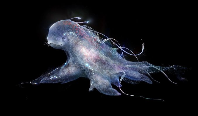 ‘kycom’荒野行动PC版下载一直卡在0%的解决方法(图2) ‘kycom’荒野行动PC版下载一直卡在0%的解决方法(图2)