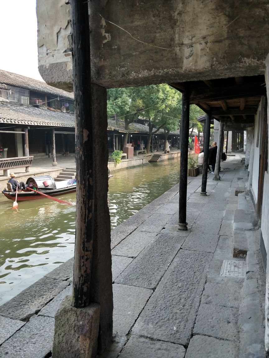 
娃娃鱼特色养殖项目建议书‘kycom’(图1)