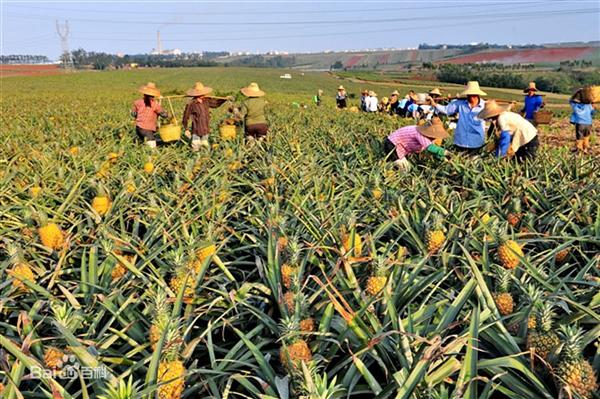 【kycom】梦幻西游灭门岭是什么 狮驼岭为什么会灭门(图1) 【kycom】梦幻西游灭门岭是什么 狮驼岭为什么会灭门(图1)