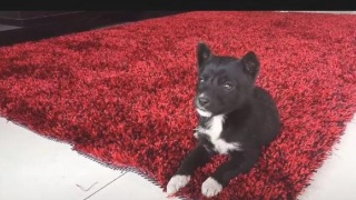 【kycom】“赶考”还在路上 不能忘记为什么出发_时事政治_中公教育网(图3)