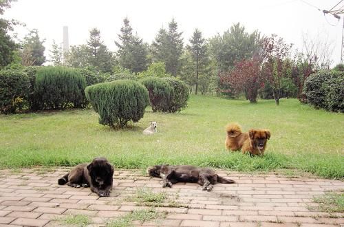 kycom：EHOME转会期整人？zyd家人怒斥：良心何在(图2)