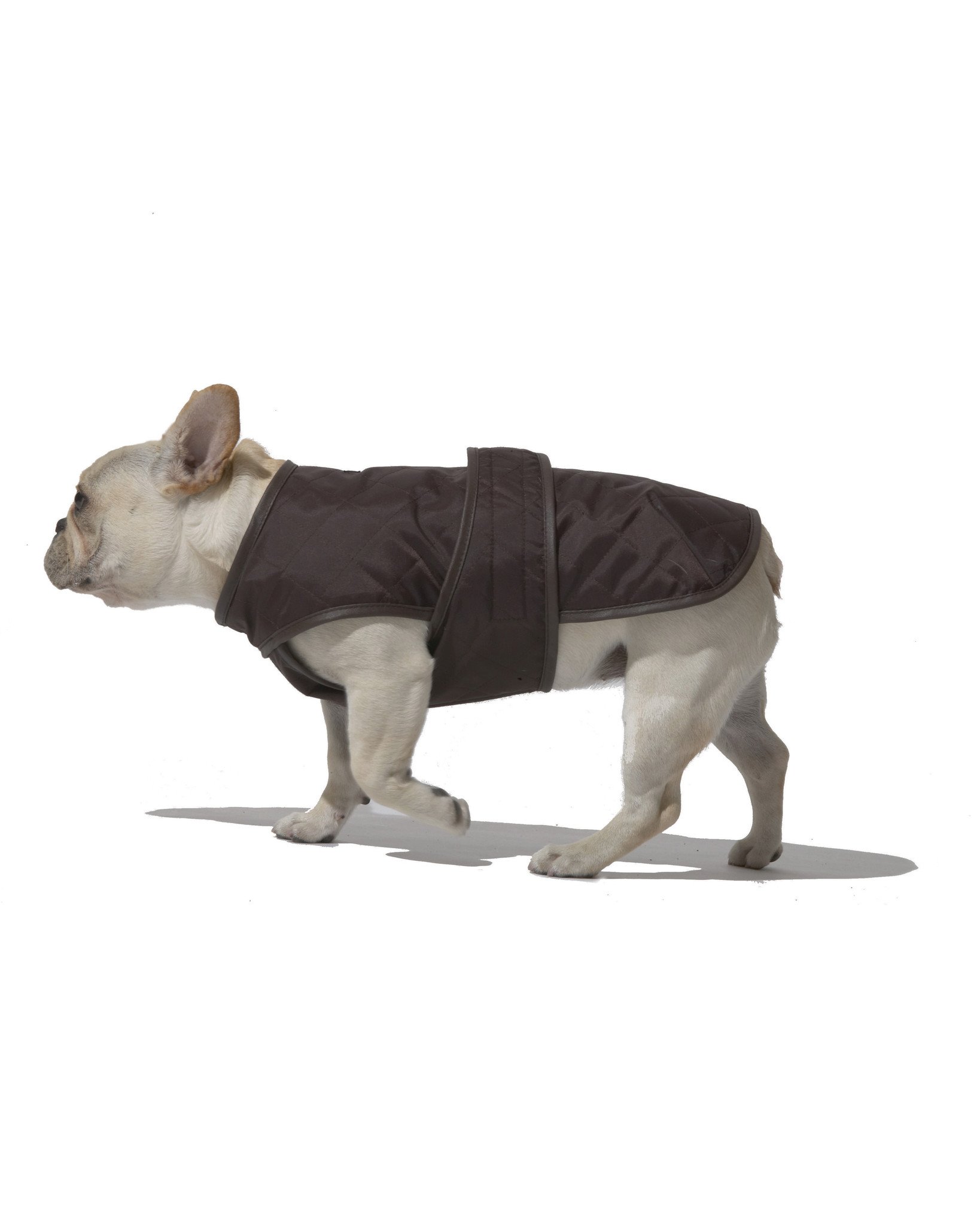 ky.com|“祖国就是我的主场”_时事政治_中公教育网(图4) ky.com|“祖国就是我的主场”_时事政治_中公教育网(图4)