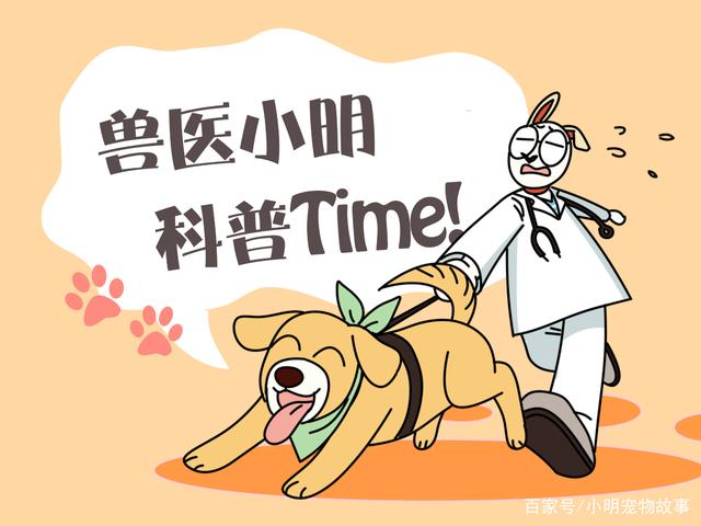 提升政府现代治理能力的重要手段_时事政治_中公教育网_kycom(图1) 提升政府现代治理能力的重要手段_时事政治_中公教育网_kycom(图1)