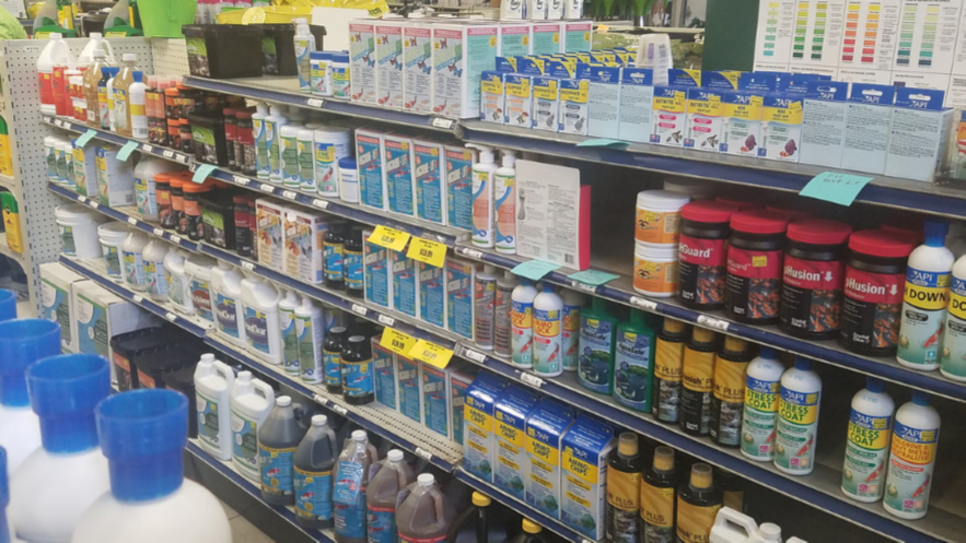 【ky.com】世界十大名鸡排名榜(图1)