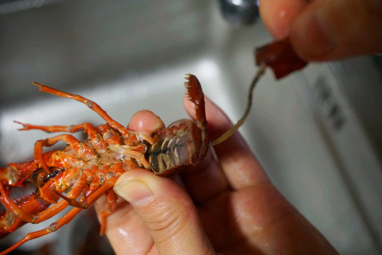 小国寡民,“全民”民主|从陶片流放法,看雅典民主政治的两面性‘ky.com’(图1) 小国寡民,“全民”民主|从陶片流放法,看雅典民主政治的两面性‘ky.com’(图1)