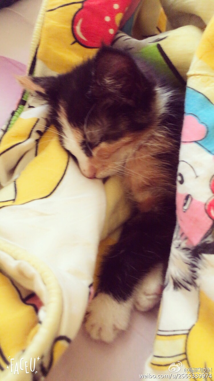 ‘ky.com’“Super”降临，ChinaJoy NVIDIA展台锋芒尽显(图2)