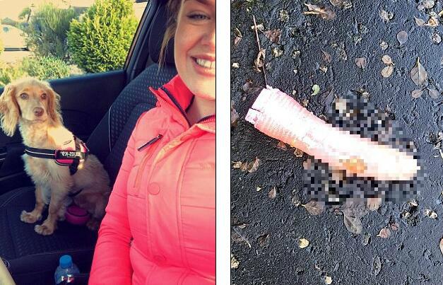 ky.com：扶贫重在扶“志”，更重在扶“智”_时事政治_中公教育网(图1)