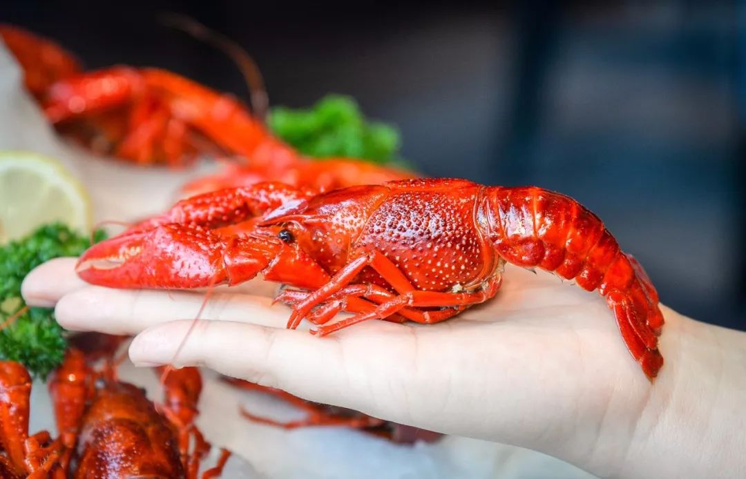 王者荣耀S7赛季新手上分战士推荐：赵云、宫本武藏_kycom(图3)