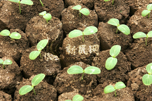 kycom_
逐日一练:知识判断之时事篇(5题谜底剖析)(图1) kycom_
逐日一练:知识判断之时事篇(5题谜底剖析)(图1)