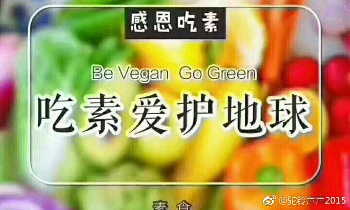 ‘ky.com’《纯白魔女》8月1日全平台公测，多重福利等你来拿(图1)