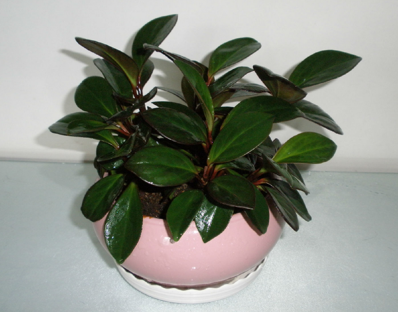 基层干部需有“刀刃向内”之举_时事政治_中公教育网：kycom(图1)