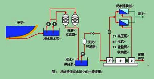 kycom_鹌鹑苗哪里有卖?鹌鹑怎么育苗?(图1) kycom_鹌鹑苗哪里有卖?鹌鹑怎么育苗?(图1)