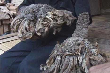 ‘kycom’管泽元排挤王多多?S9解说不接话引热议(图2) ‘kycom’管泽元排挤王多多?S9解说不接话引热议(图2)