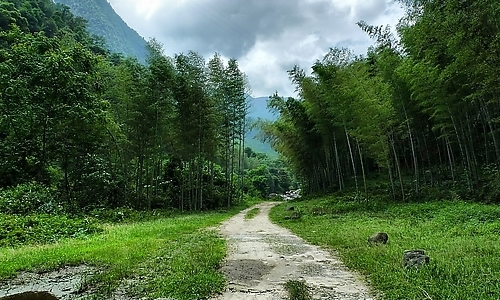 ‘kycom’管泽元排挤王多多?S9解说不接话引热议(图1) ‘kycom’管泽元排挤王多多?S9解说不接话引热议(图1)