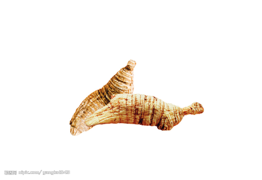 ky.com_末世生存新作《苏醒之路》亮相索尼 “无索不玩”发布会(图1) ky.com_末世生存新作《苏醒之路》亮相索尼 “无索不玩”发布会(图1)