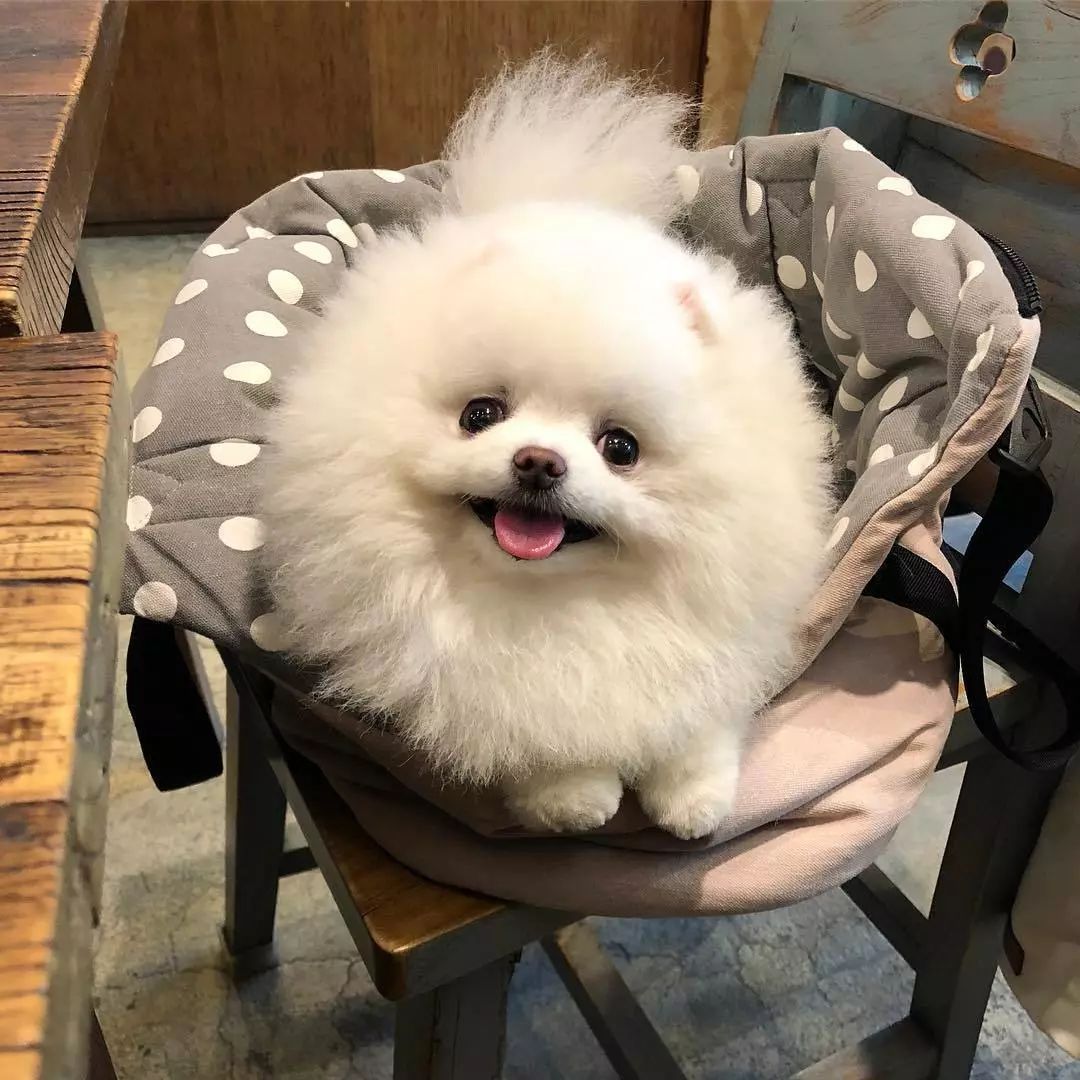 ky.com_末世生存新作《苏醒之路》亮相索尼 “无索不玩”发布会(图2) ky.com_末世生存新作《苏醒之路》亮相索尼 “无索不玩”发布会(图2)