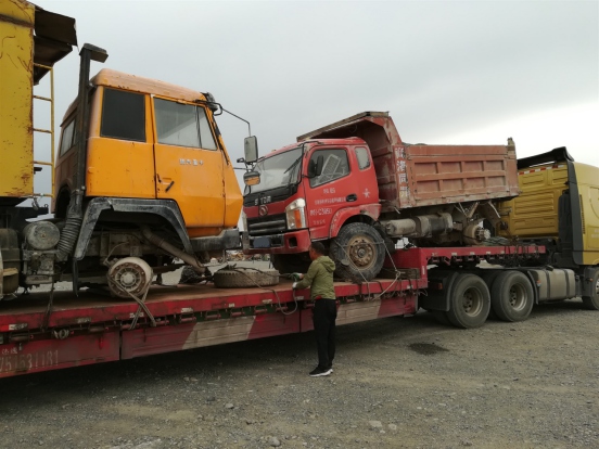 ky.com：农村15万可以养多少头母猪？自繁自养的养猪模式分析(图2)