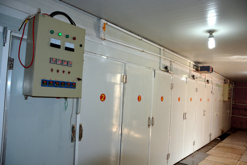 ky.com:专家解析:草鱼体形特征有哪些(图1) ky.com:专家解析:草鱼体形特征有哪些(图1)