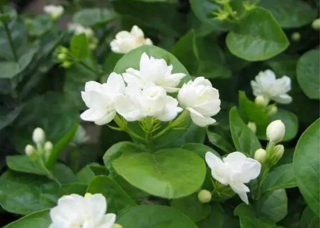 【ky.com】
四年录取数据告诉考生 几多分能考入中国农业大学(图1)