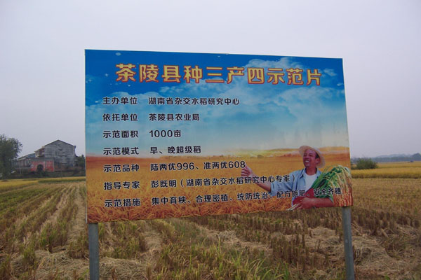 ky.com|淀粉价格多少钱一斤？附淀粉行情走势及价格预测(图2)