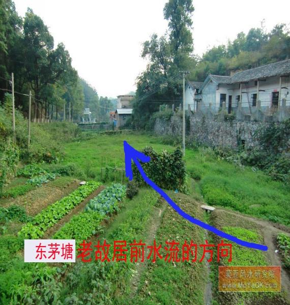 ‘ky.com’水产养殖形势及行业发展趋势预测(图2) ‘ky.com’水产养殖形势及行业发展趋势预测(图2)