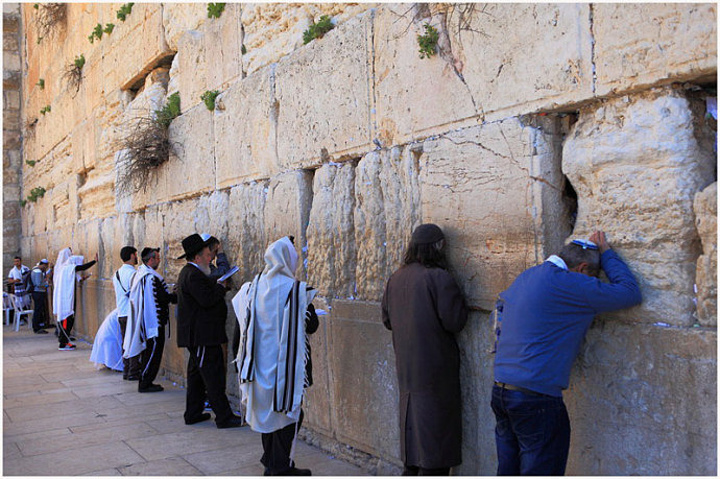 ky.com|自治区农业农村厅召开2020年粮食生产事情集会(图1)