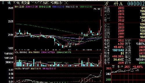 乐言赛后化身小迷弟 空间晒与小狗TS合照-kycom(图2)