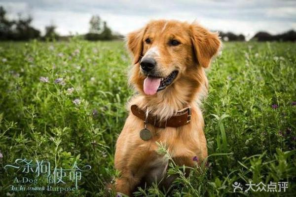 ‘ky.com’游族网络的财政迷局(图1)