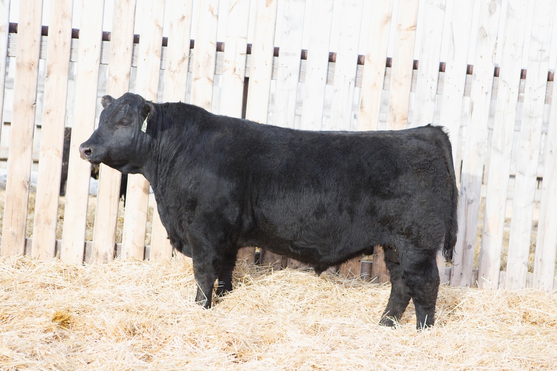 公款成“个人专款”暴露监督“真问题”_时事政治_中公教育网|kycom(图1)