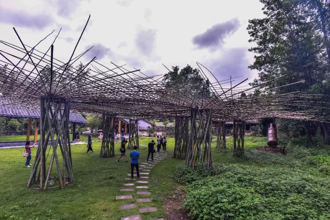 PDD：小龙堡身价是谣言 阿水或将休赛三个月_ky.com(图1)