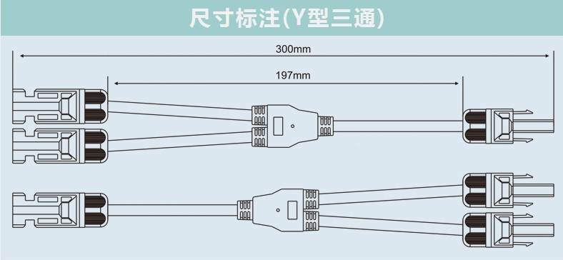 茼蒿行情大好近一个月价格约涨四成【ky.com】(图2)