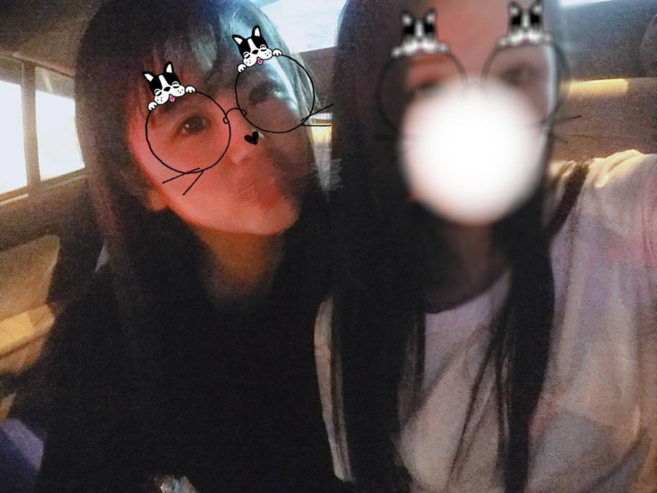 菊苣种子哪个品种好？育苗方法有哪些？：ky.com(图4)